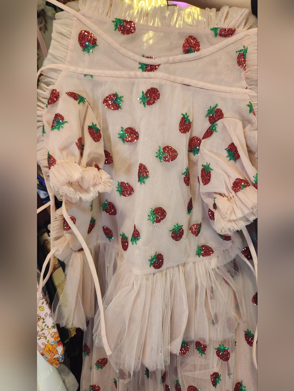 Lirika Matoshi Strawberry Dress Bundle Size XL & Pet M - Picture 14 of 16